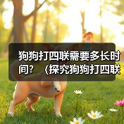 狗狗打四联需要多长时间？（探究狗狗打四联疫苗的时间和效果） - 辰飞雨新生家伴
