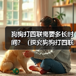 狗狗打四联需要多长时间？（探究狗狗打四联疫苗的时间和效果）(图3)