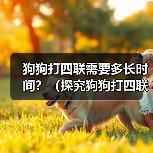 狗狗打四联需要多长时间？（探究狗狗打四联疫苗的时间和效果）(图4)