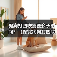 狗狗打四联需要多长时间？（探究狗狗打四联疫苗的时间和效果）(图2)