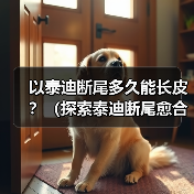 以泰迪断尾多久能长皮？（探索泰迪断尾愈合时间及注意事项）(图4)