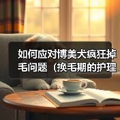 如何应对博美犬疯狂掉毛问题（换毛期的护理及美毛食物推荐） - 辰飞雨新生家伴