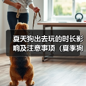 夏天狗出去玩的时长影响及注意事项（夏季狗狗外出游玩的最佳时长及需要注意的问题）(图2)