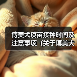 博美犬疫苗接种时间及注意事项（关于博美犬疫苗接种的时间要点，了解宠物健康的必备知识）(图3)