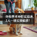 外科手术中阶实操班,2人一组实操超多!(图2) 外科手术中阶实操班,2人一组实操超多!(图2)