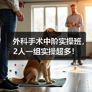 外科手术中阶实操班，2人一组实操超多！ - 辰飞雨新生家伴