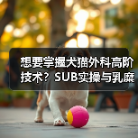 想要掌握犬猫外科高阶技术?SUB实操与乳糜胸手术全解析!(图3) 想要掌握犬猫外科高阶技术?SUB实操与乳糜胸手术全解析!(图3)