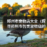 郑州市宠物店大全（探寻郑州市各类宠物店的选择与服务）(图4)