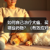 如何自己治疗犬瘟,买哪些药物?(有效应对犬瘟的药物购买指南)(图2) 如何自己治疗犬瘟,买哪些药物?(有效应对犬瘟的药物购买指南)(图2)