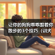让你的狗狗乖乖跟着你散步的3个技巧（训犬师教你如何训练狗狗一起享受散步的乐趣）(图3)