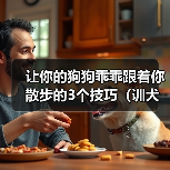 让你的狗狗乖乖跟着你散步的3个技巧（训犬师教你如何训练狗狗一 - 辰飞雨新生家伴