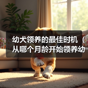 幼犬领养的最佳时机（从哪个月龄开始领养幼犬是最合适的？） - 辰飞雨新生家伴