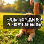 七彩神仙鱼的品种及特点(探索七彩神仙鱼的世界,了解不同品种的魅力)(图4) 七彩神仙鱼的品种及特点(探索七彩神仙鱼的世界,了解不同品种的魅力)(图4)