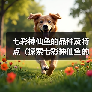七彩神仙鱼的品种及特点(探索七彩神仙鱼的世界,了解不同品种的魅力)(图3) 七彩神仙鱼的品种及特点(探索七彩神仙鱼的世界,了解不同品种的魅力)(图3)