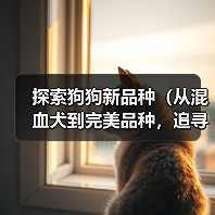 探索狗狗新品种（从混血犬到完美品种，追寻狗狗育种的前沿） - 辰飞雨新生家伴