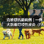 克维舒抗菌病例 | 一例犬跳蚤叮咬性皮炎(FAD)的病例分析(图3) 克维舒抗菌病例 | 一例犬跳蚤叮咬性皮炎(FAD)的病例分析(图3)