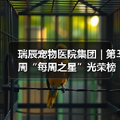 瑞辰宠物医院集团 | 第3周“每周之星”光荣榜(图3) 瑞辰宠物医院集团 | 第3周“每周之星”光荣榜(图3)