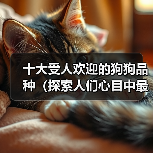 十大受人欢迎的狗狗品种(探索人们心目中最受喜爱的狗狗品种)(图2) 十大受人欢迎的狗狗品种(探索人们心目中最受喜爱的狗狗品种)(图2)