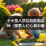 十大受人欢迎的狗狗品种(探索人们心目中最受喜爱的狗狗品种)(图3) 十大受人欢迎的狗狗品种(探索人们心目中最受喜爱的狗狗品种)(图3)