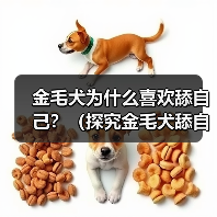 金毛犬为什么喜欢舔自己？（探究金毛犬舔自己的原因及其影响） - 辰飞雨新生家伴
