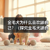 金毛犬为什么喜欢舔自己?(探究金毛犬舔自己的原因及其影响)(图2) 金毛犬为什么喜欢舔自己?(探究金毛犬舔自己的原因及其影响)(图2)