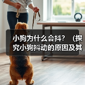 小狗为什么会抖?(探究小狗抖动的原因及其影响)(图4) 小狗为什么会抖?(探究小狗抖动的原因及其影响)(图4)