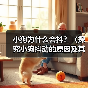 小狗为什么会抖？（探究小狗抖动的原因及其影响） - 辰飞雨新生家伴