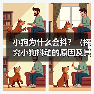 小狗为什么会抖?(探究小狗抖动的原因及其影响)(图3) 小狗为什么会抖?(探究小狗抖动的原因及其影响)(图3)