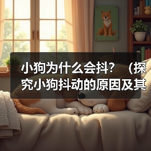 小狗为什么会抖?(探究小狗抖动的原因及其影响)(图2) 小狗为什么会抖?(探究小狗抖动的原因及其影响)(图2)