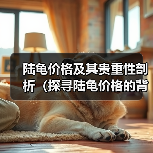 陆龟价格及其贵重性剖析（探寻陆龟价格的背后） - 辰飞雨新生家伴