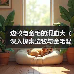 边牧与金毛的混血犬（深入探索边牧与金毛混血犬的特征和魅力） - 辰飞雨新生家伴
