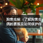 狗焦虫病(了解狗焦虫病的表现及如何保护你的宠物)(图4) 狗焦虫病(了解狗焦虫病的表现及如何保护你的宠物)(图4)