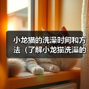 小龙猫的洗澡时间和方法（了解小龙猫洗澡的频率和正确的洗澡方法 - 辰飞雨新生家伴