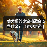 幼犬期的小金毛适合吃些什么？（养护之道｜为你的小金毛选择最佳 - 辰飞雨新生家伴