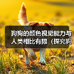 狗狗的颜色视觉能力与人类相比有限（探究狗狗的视觉世界及其颜色 - 辰飞雨新生家伴