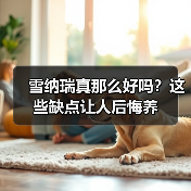 雪纳瑞真那么好吗？这些缺点让人后悔养 - 辰飞雨新生家伴