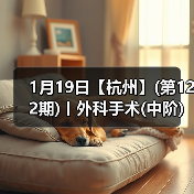1月19日【杭州】(第122期)丨外科手术(中阶)实战班,2人/组提供一猫一狗,实操超多!(图2) 1月19日【杭州】(第122期)丨外科手术(中阶)实战班,2人/组提供一猫一狗,实操超多!(图2)