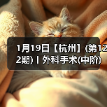 1月19日【杭州】(第122期)丨外科手术(中阶)实战班，2 - 辰飞雨新生家伴