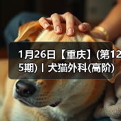 1月26日【重庆】(第125期)丨犬猫外科(高阶)班！含SU - 辰飞雨新生家伴