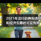2021年流行的养狗选择和经济实惠的可爱狗狗品种 - 辰飞雨新生家伴
