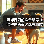 狗得真菌的饮食禁忌(保护你的爱犬远离真菌侵袭的关键)(图3) 狗得真菌的饮食禁忌(保护你的爱犬远离真菌侵袭的关键)(图3)