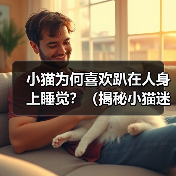 小猫为何喜欢趴在人身上睡觉?(揭秘小猫迷人的行为习惯与心理动机)(图4) 小猫为何喜欢趴在人身上睡觉?(揭秘小猫迷人的行为习惯与心理动机)(图4)