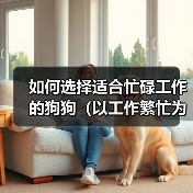 如何选择适合忙碌工作的狗狗(以工作繁忙为主人养狗的挑战与解决之道)(图2) 如何选择适合忙碌工作的狗狗(以工作繁忙为主人养狗的挑战与解决之道)(图2)
