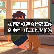 如何选择适合忙碌工作的狗狗(以工作繁忙为主人养狗的挑战与解决之道)(图3) 如何选择适合忙碌工作的狗狗(以工作繁忙为主人养狗的挑战与解决之道)(图3)