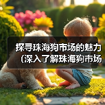 探寻珠海狗市场的魅力（深入了解珠海狗市场的地理位置及规模） - 辰飞雨新生家伴