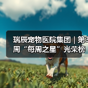 瑞辰宠物医院集团 | 第3周“每周之星”光荣榜 - 辰飞雨新生家伴