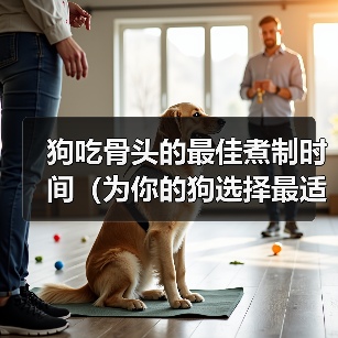狗吃骨头的最佳煮制时间（为你的狗选择最适合的骨头煮制时间） - 辰飞雨新生家伴