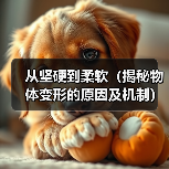 从坚硬到柔软(揭秘物体变形的原因及机制)(图3) 从坚硬到柔软(揭秘物体变形的原因及机制)(图3)