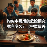 狗狗中毒后的危险期究竟有多久？（中毒后关键时刻怎么过？） - 辰飞雨新生家伴