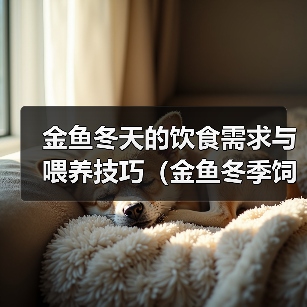 金鱼冬天的饮食需求与喂养技巧(金鱼冬季饲养指南,保证健康成长)(图3) 金鱼冬天的饮食需求与喂养技巧(金鱼冬季饲养指南,保证健康成长)(图3)